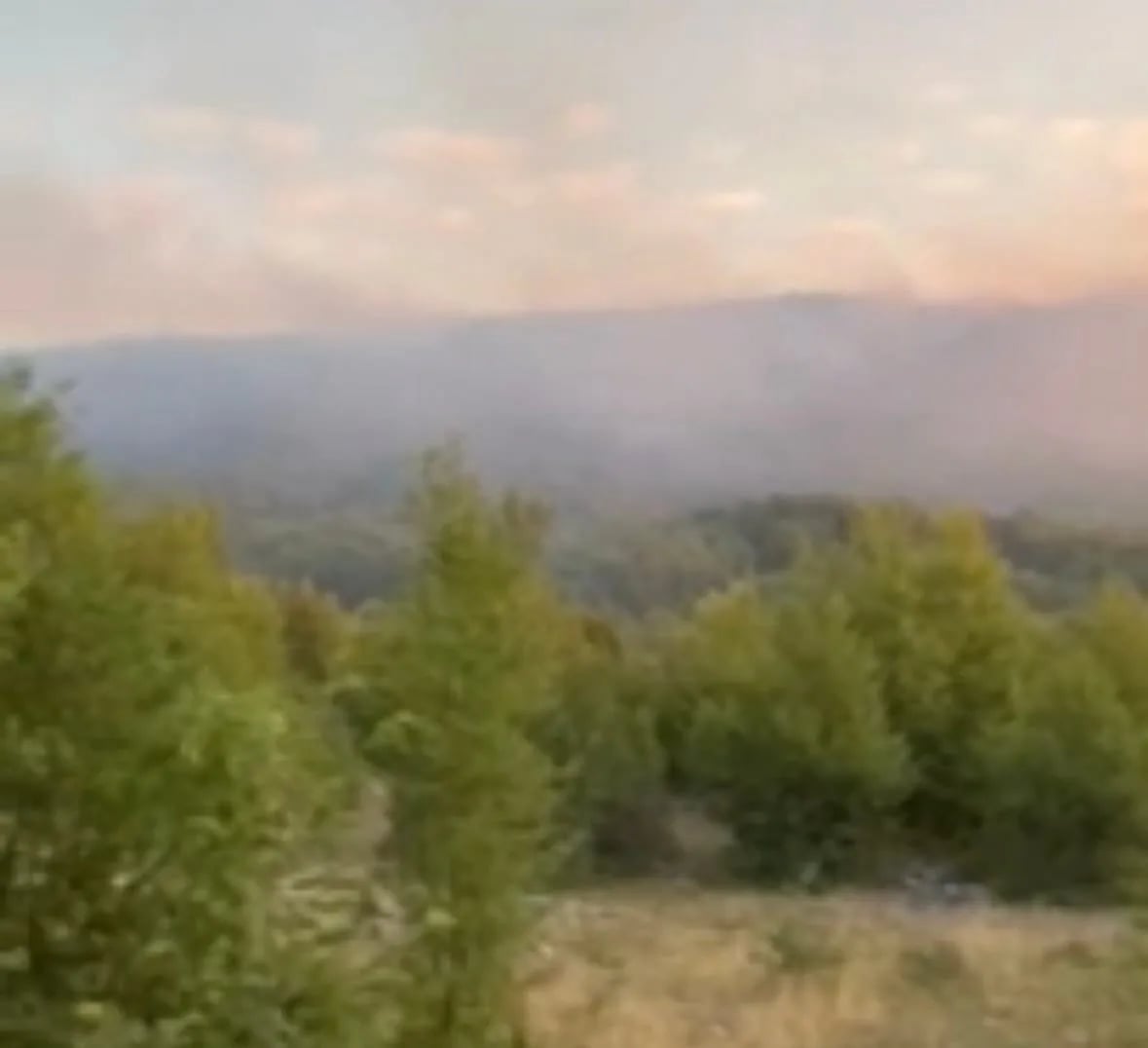 Nikšićki vatrogasci treći dan gase šumski požar kod Gornjih Crkvica