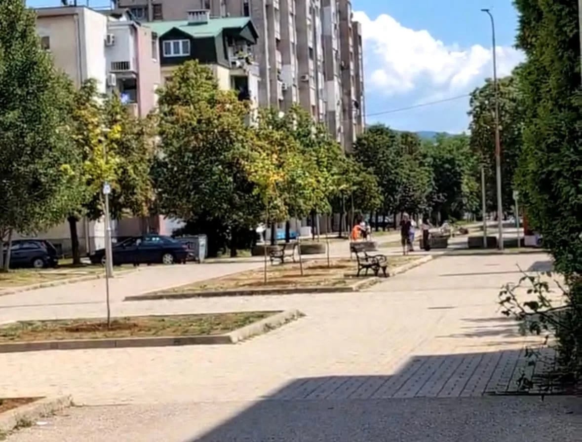 Na Šetalištu Petra Lubarde posađeno 10 lipa