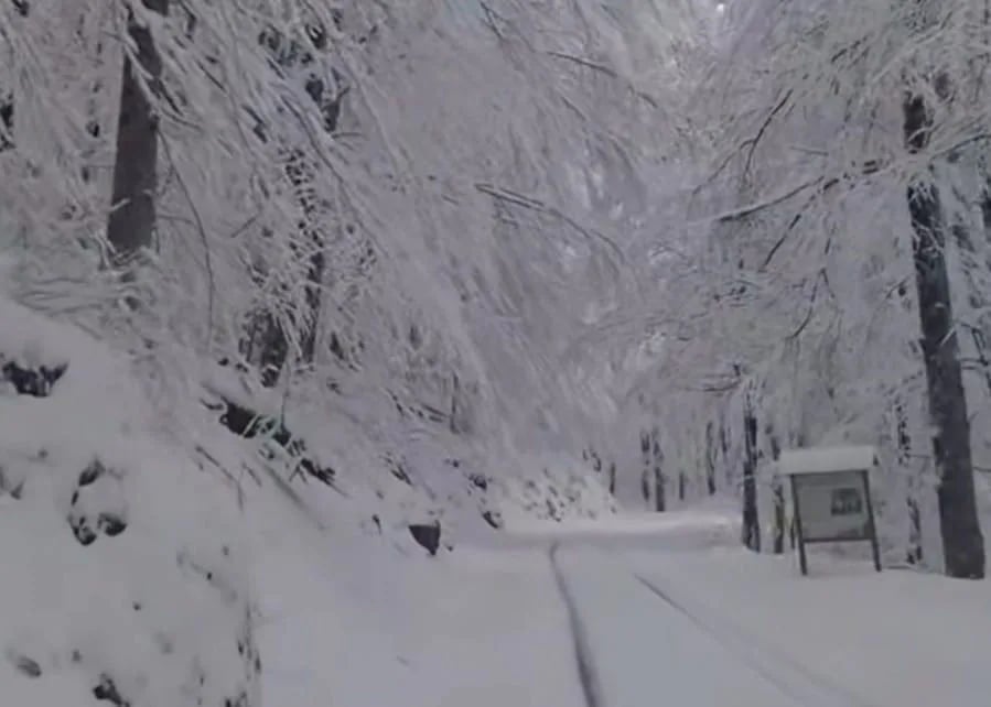 NP Biogradska gora zatvoren zbog nevremena
