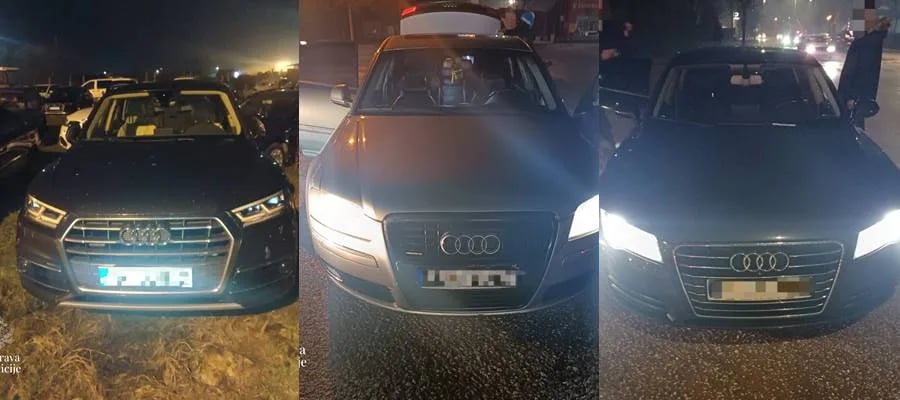 Policija privodi i oduzima Audije