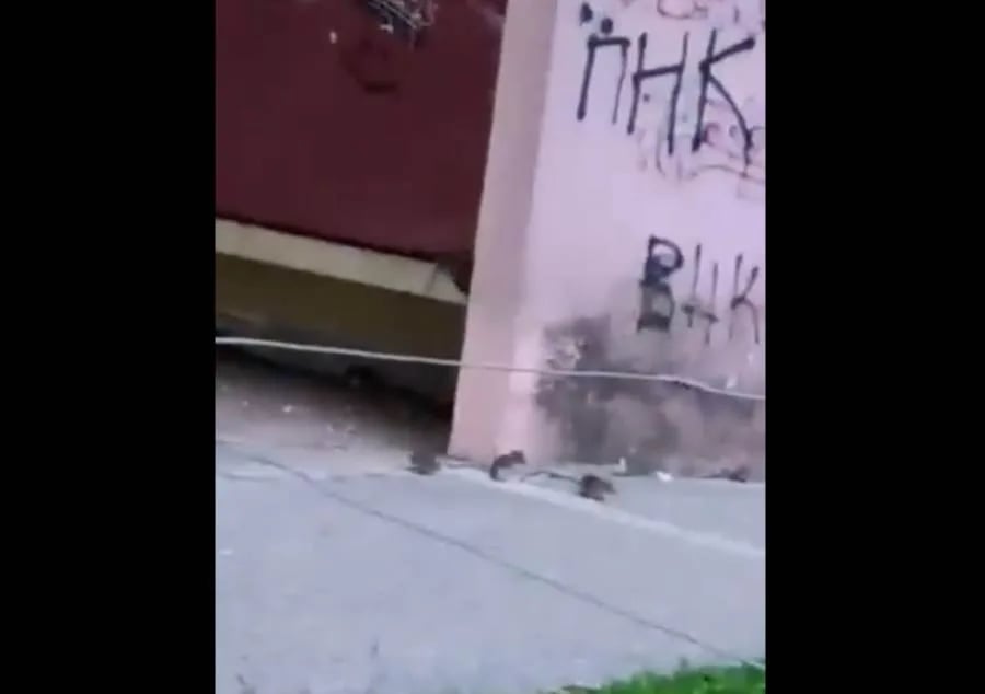 Šćepanović: Nikšić, Evropska prijestonica kulture, guši se u otpadu