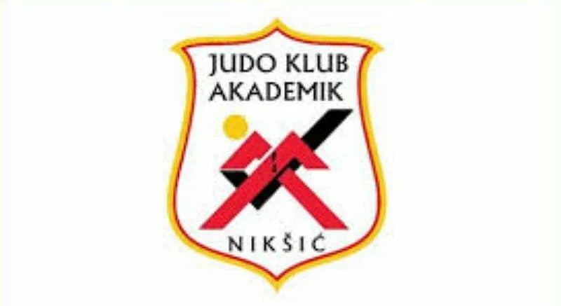Izabrani novi organi upravljanja u Akademiku