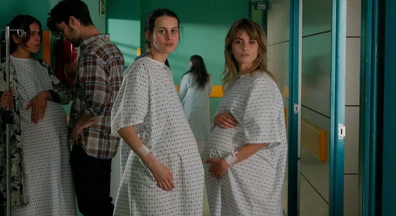 Cinema 213: Četiri projekcije na repertoaru
