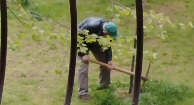U 94. godini okopava drvo u dvorištu zgrade: "Sava je dokaz da se svi moramo upitati šta možemo uraditi za našu zemlju"