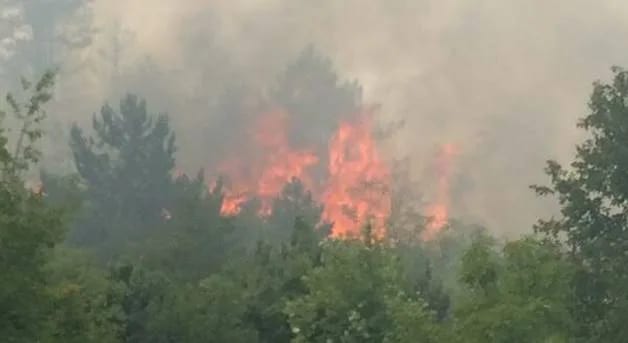 Planina Vojnik gori, kontrole pojačane