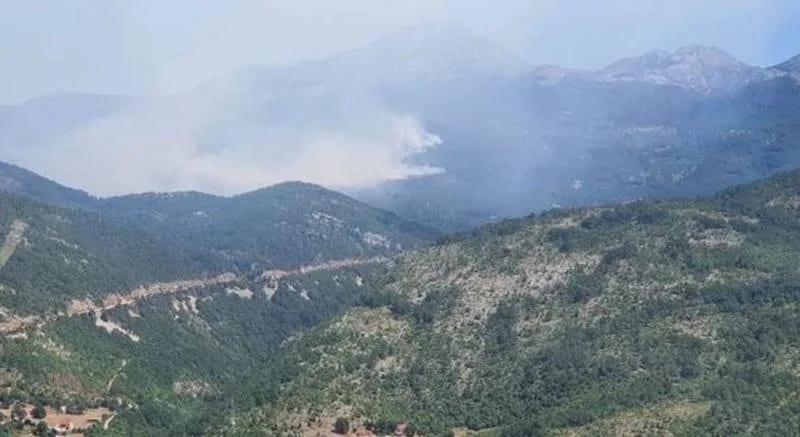 Helikopter VCG uključen u akciju gašenja požara na Vojniku
