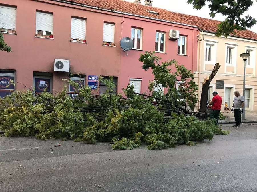 Kratkotrajno nevrijeme ostavilo trag, u Karađorđevoj prepolovljeno stablo (FOTO)