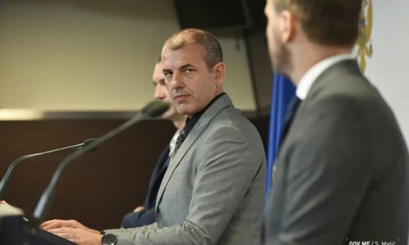 Polović: Narednih dana počinje pokretanje pojedinih Vladinih servisa, među njima i onaj za prijavu dječijeg dodatka