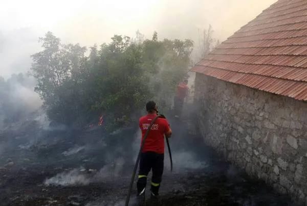Nikšićki vatrogasci-spasioci za devet mjeseci intervenisali 913 puta