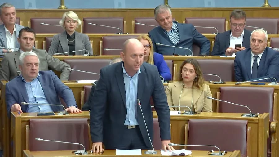 DF bi sa Demokratama da inicira skraćenja mandata Skupštini