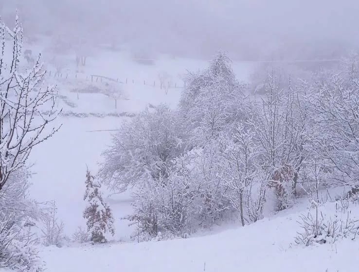 Krtolica: Opština će prema Goliji danas uputiti mehanizaciju