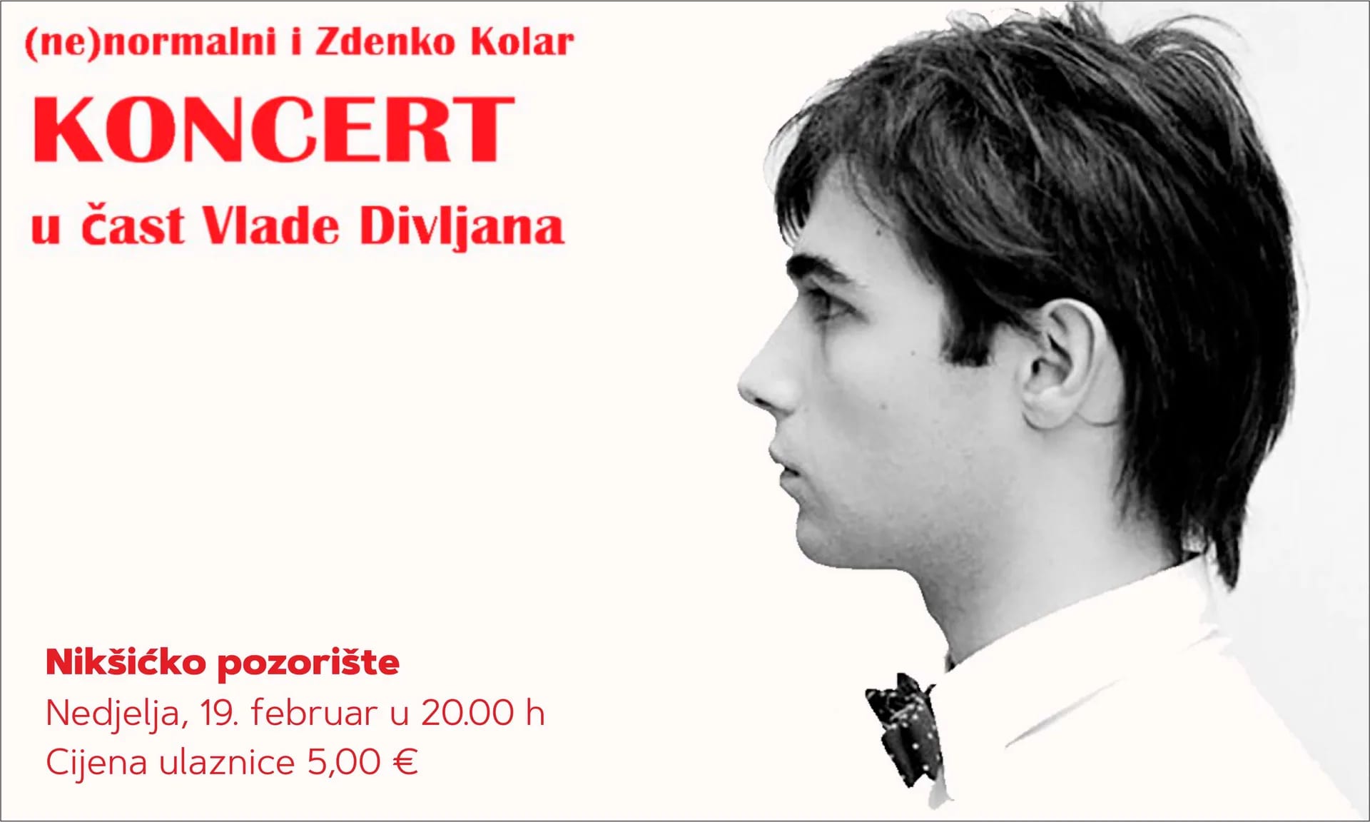 Koncert u čast Vlade Divljana
