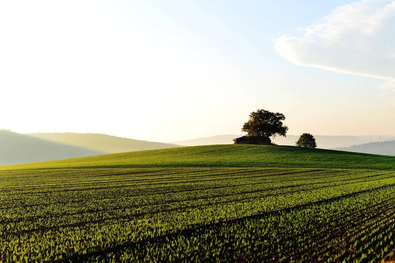 Rok za upis obradivih površina 30. april