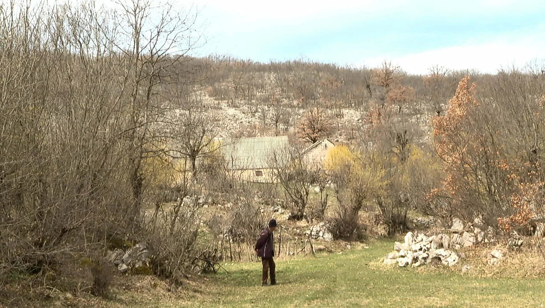 Banjani: Stočari nemoćni protiv medvjeda