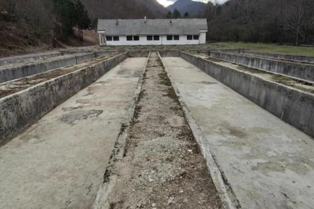 Povratak pastrmke na Balkan kreće od Pive