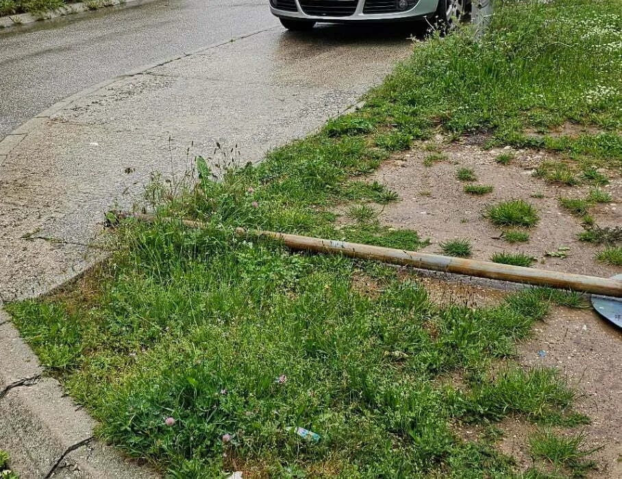 ČITAOCI ŠALJU: Oboren stub nadomak Šetališta Alekse Backovića
