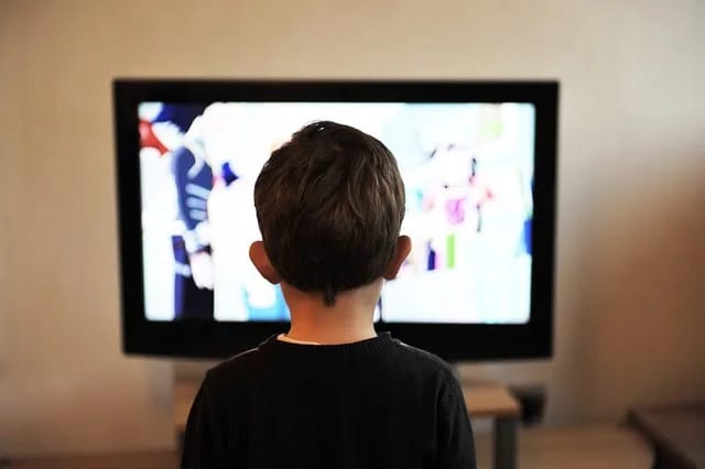 Bakić: Ukidanje TV programa nije moguće samo na osnovu peticije