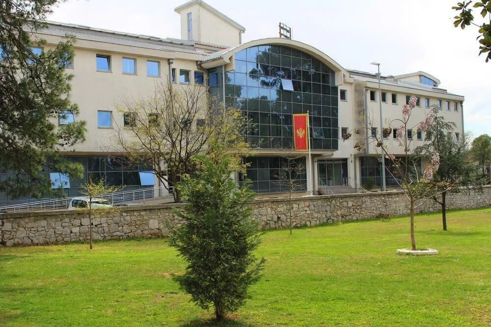 Na tržištu rada fali IT stručnjaka