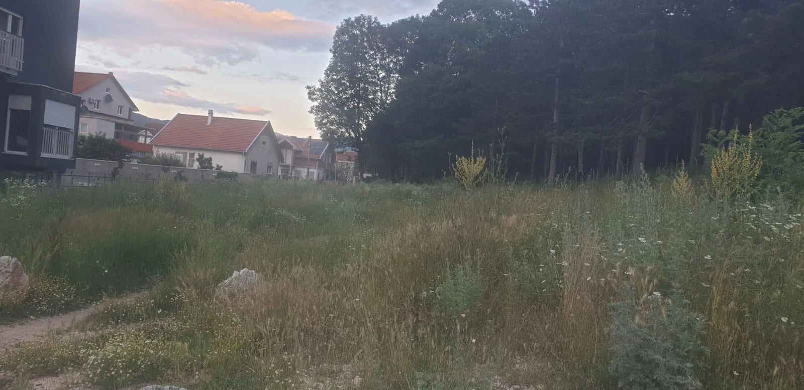 ČITAOCI ŠALJU: Trava smeta stanarima i rekreativcima
