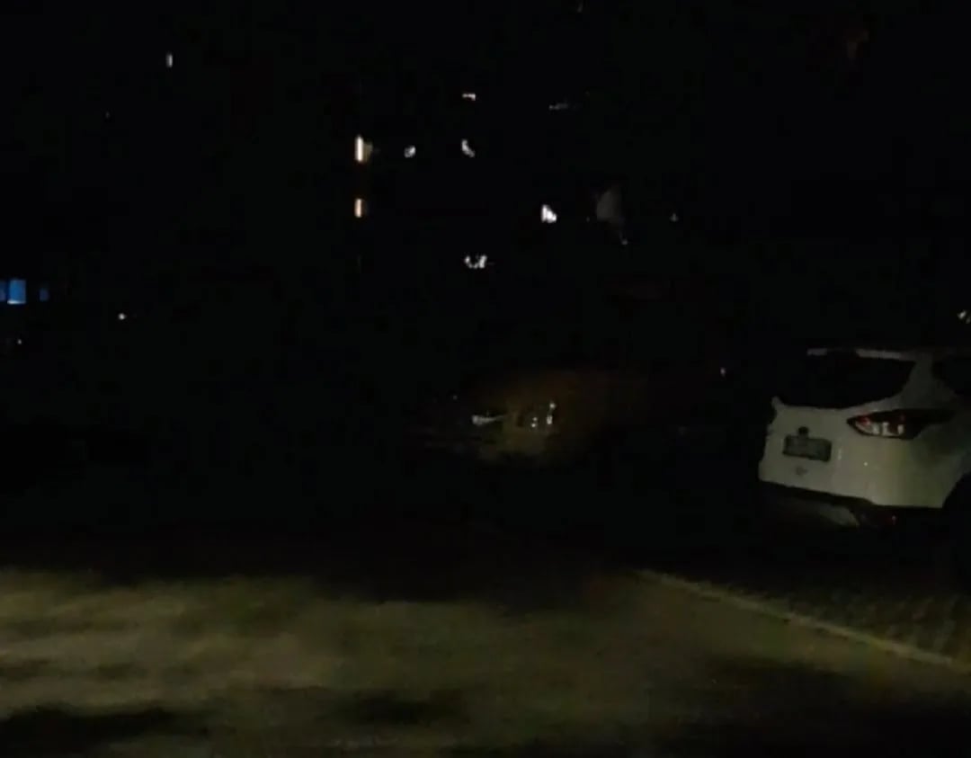 ČITAOCI ŠALJU: U mraku čekaju popravku nove led rasvjete (Video)