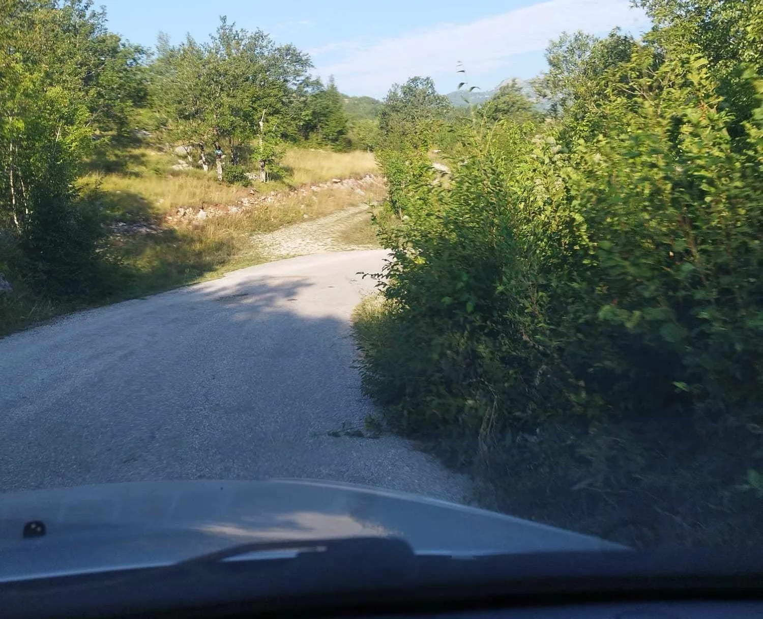 Magistralni put Nikšić-Gacko zarastao u šiblje