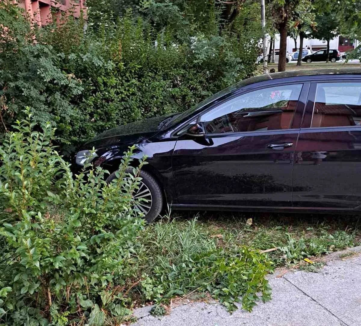 ČITAOCI ŠALJU: Automobilom gazi travu i živu ogradu