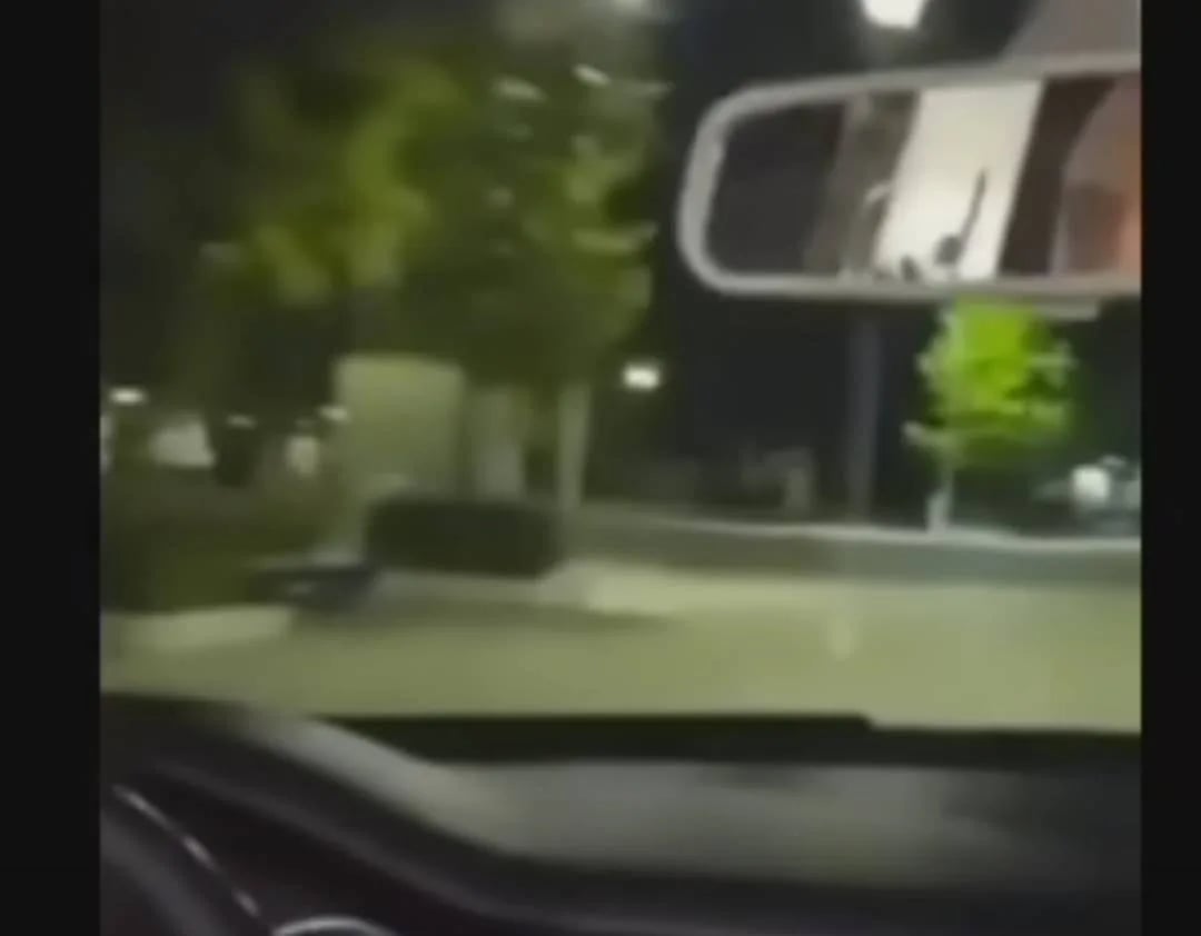 (VIDEO) "Ludi ljetnji ples" u gluvo doba noći