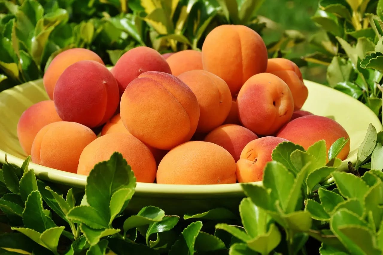 Inspektori spriječili uvoz 160.272 kilograma nebezbjedne hrane