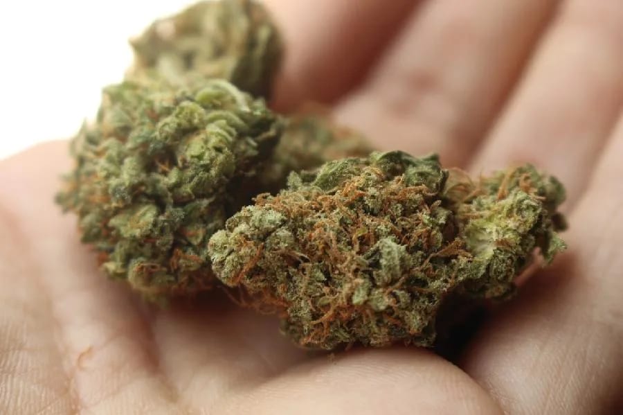 Nikšićanin vozio pod dejstvom četiri vrste droga