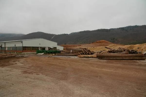 Plužine: Umjesto pilane, biće formirana biznis zona