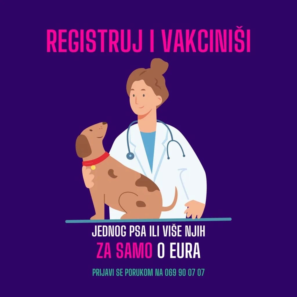 Počinje besplatna registracija i vakcinacija pasa u Nikšiću, vlasnici da se prijave
