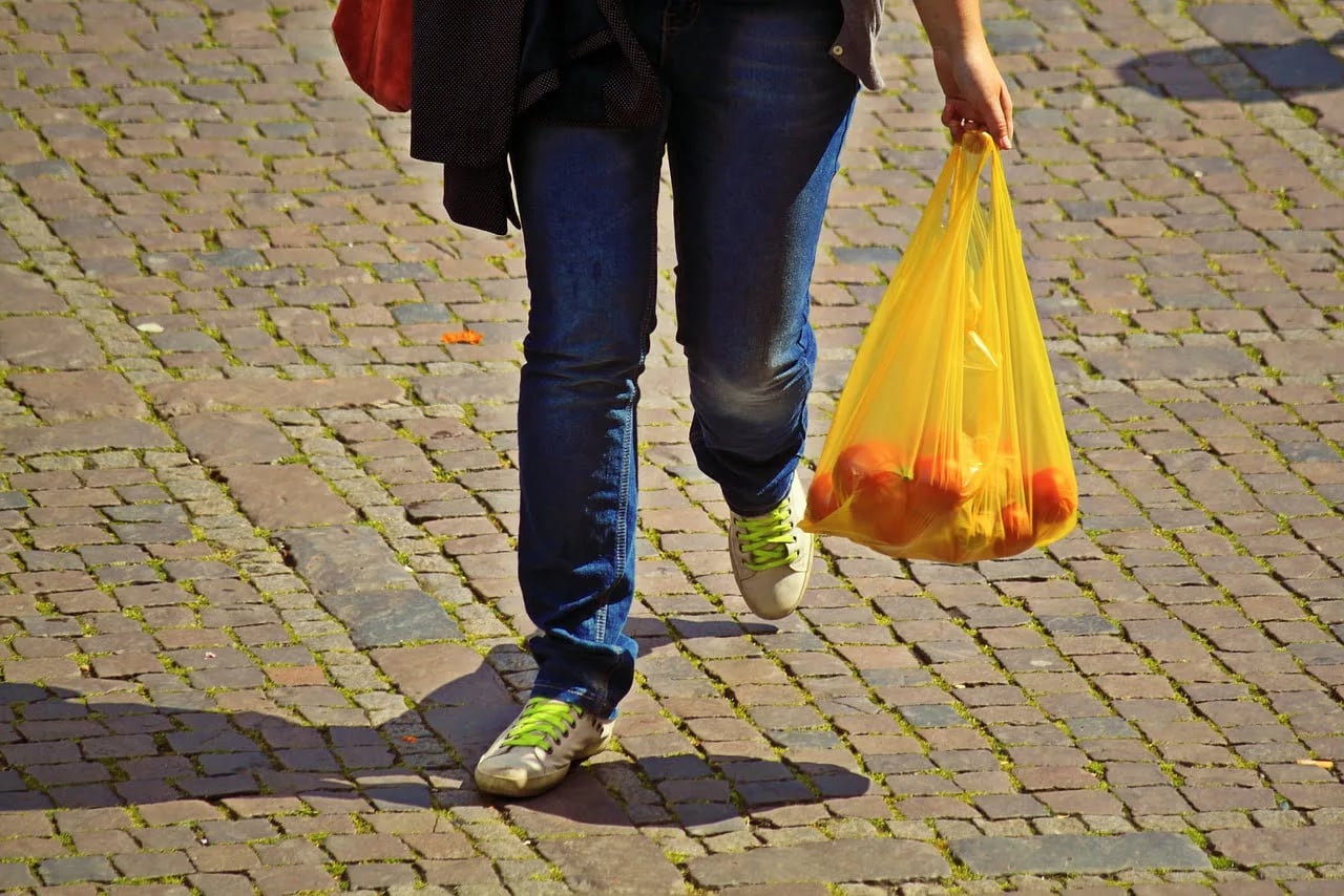 Upotreba plastičnih kesa biće zabranjena