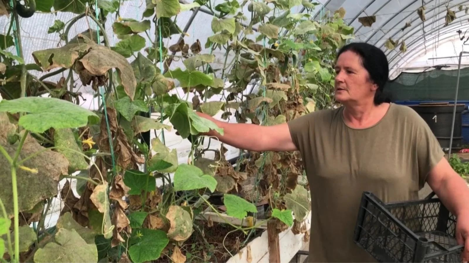 (VIDEO) Tijana odlučila da se ne preda invaliditetu: Svako može nešto da doprinese, ne treba odustati