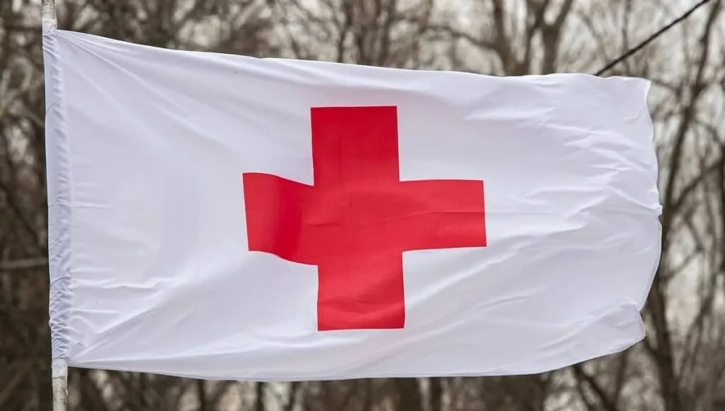 CKCG: U prethodnih godinu preko 15.000 puta pružena pomoć višečlanim porodicama