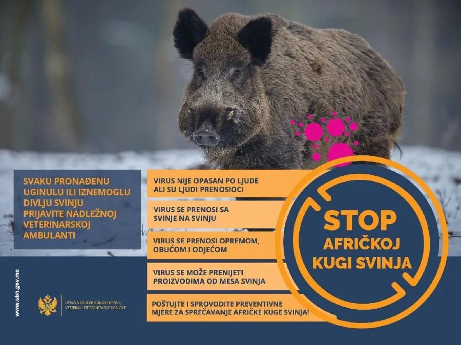 Držaoci svinja da prate preporuke radi sprečavanja afričke kuge