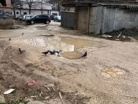 ČITAOCI ŠALJU: Uređenjem dvorišta do savremenog izgleda i rješenja problema u Ulici Danila Bojovića