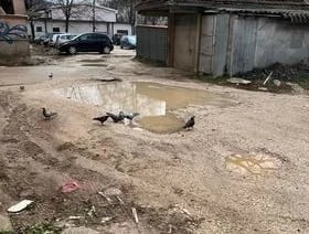 ČITAOCI ŠALJU: Uređenjem dvorišta do savremenog izgleda i rješenja problema u Ulici Danila Bojovića