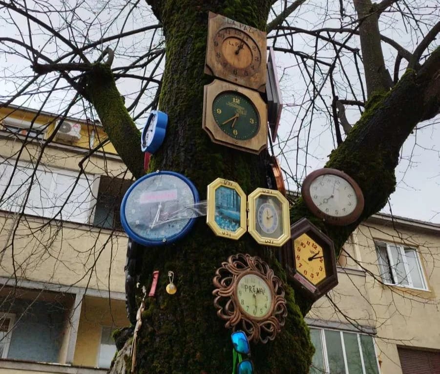 (FOTO) Izložba satova na drvetu