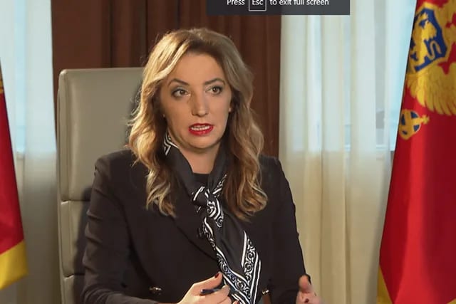 Jakšić-Stojanović: Podnešene 22 krivične prijave zbog osnovane sumnje da su falsifikovane inostrane diplome