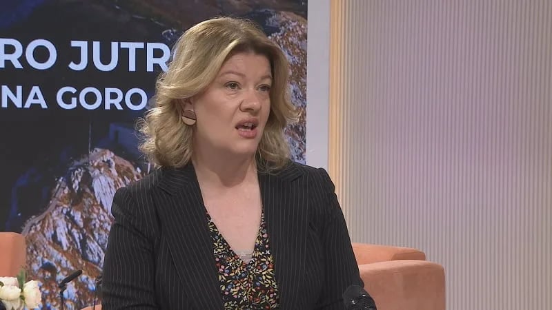 Radović: Slučajevi policijske torture zabilježeni i ove i prošle godine