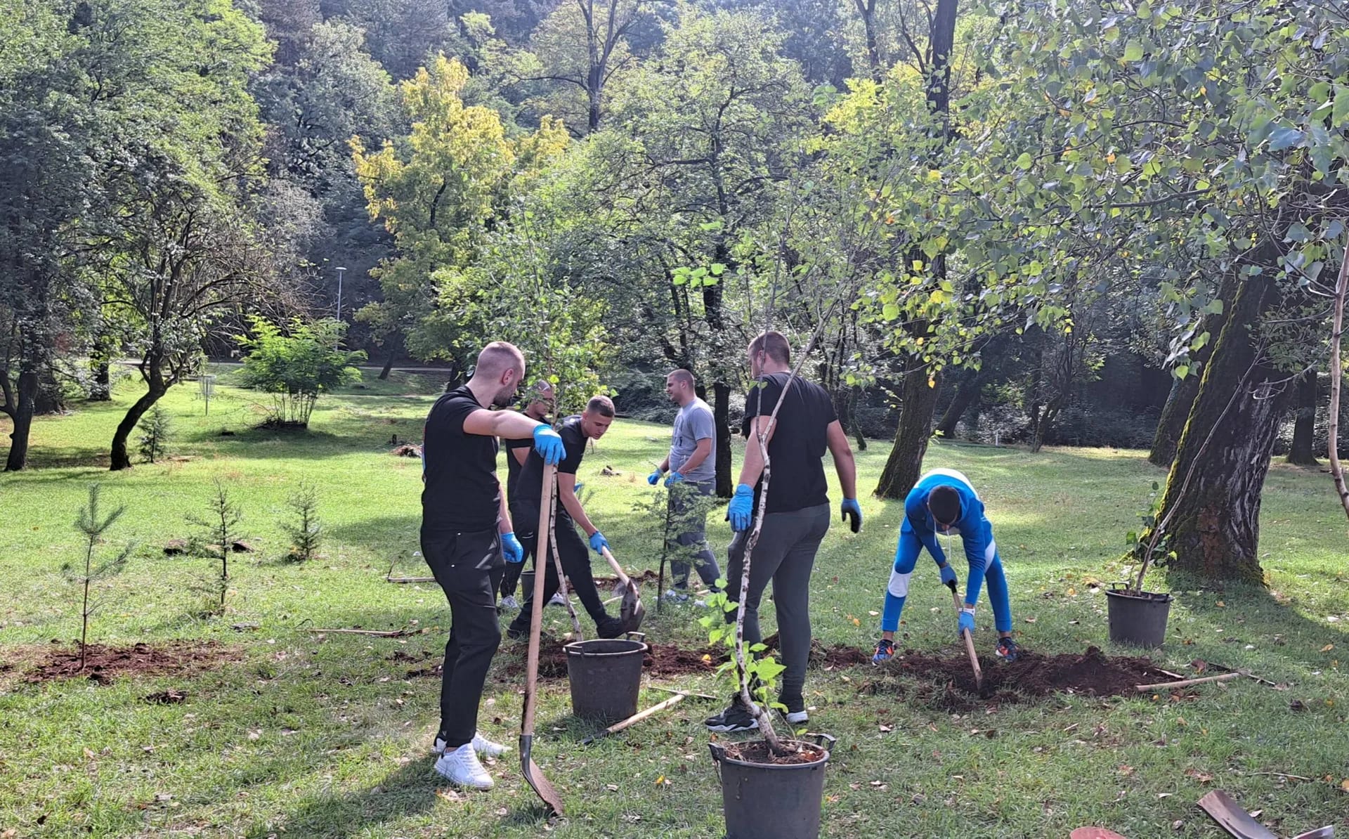 Park šuma Trebjesa zelenija za više od 130 sadnica smrče, breze, kedra, javora, bora i kestena