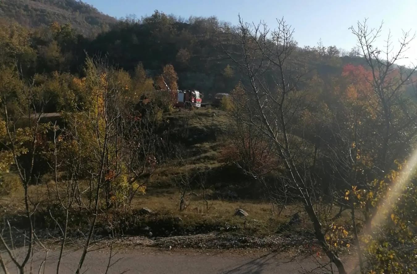 Eutanazirane krave zakopane u Ljeskovim dolima