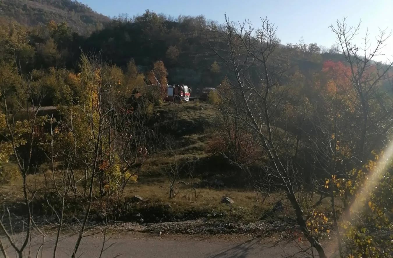 Eutanazirane krave zakopane u Ljeskovim dolima