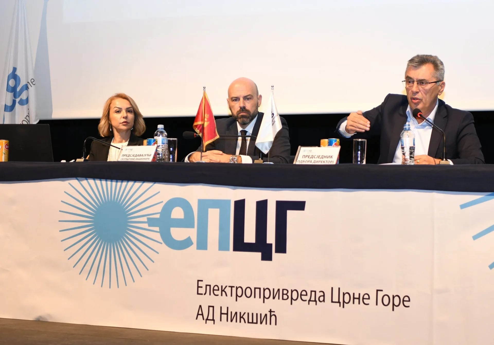 Akcionari EPCG izabrali revizora za 2024. godinu