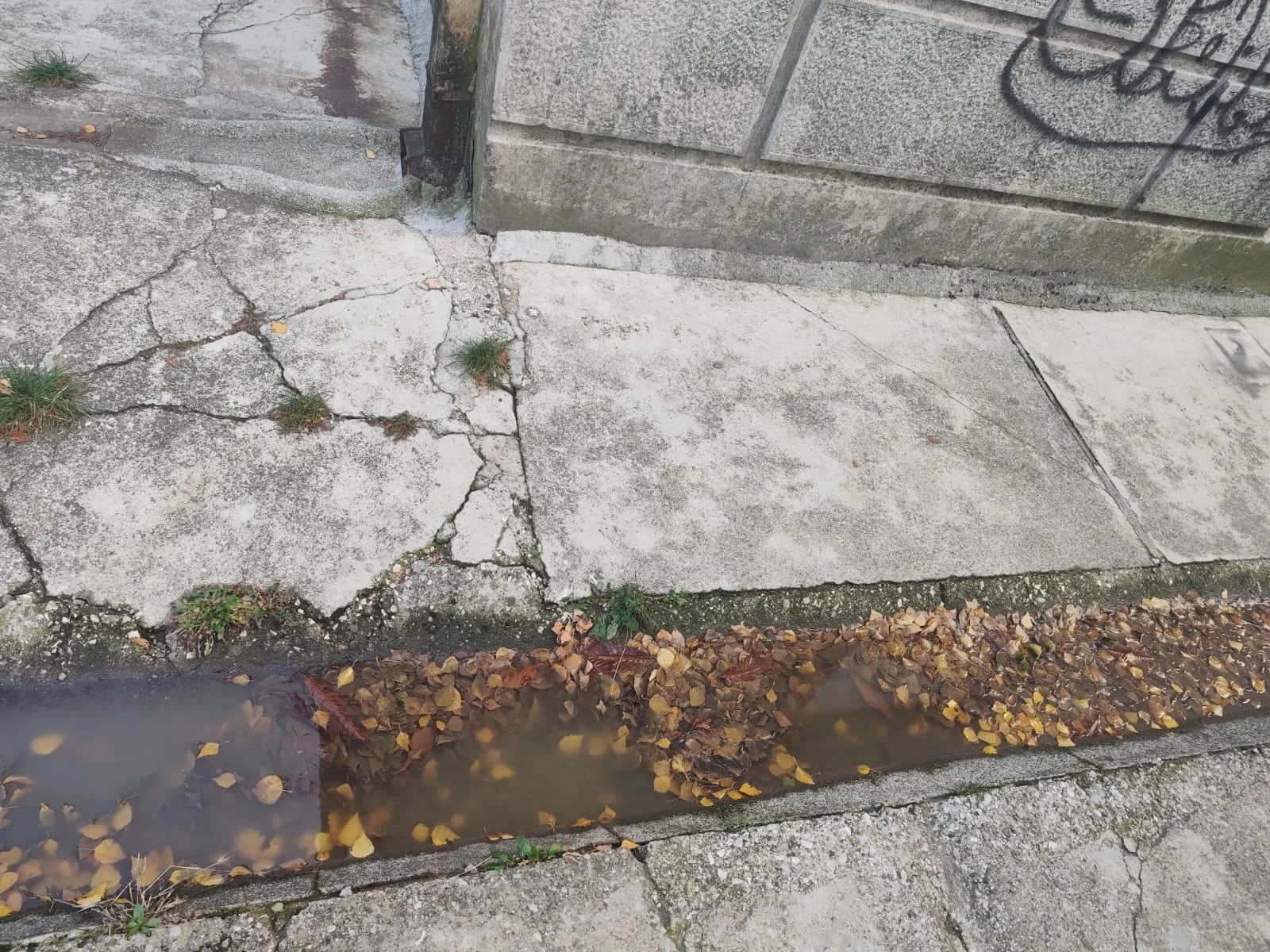 ČITAOCI ŠALJU: Zbog začepljene kanalizacije, neprijatan miris širi se danima