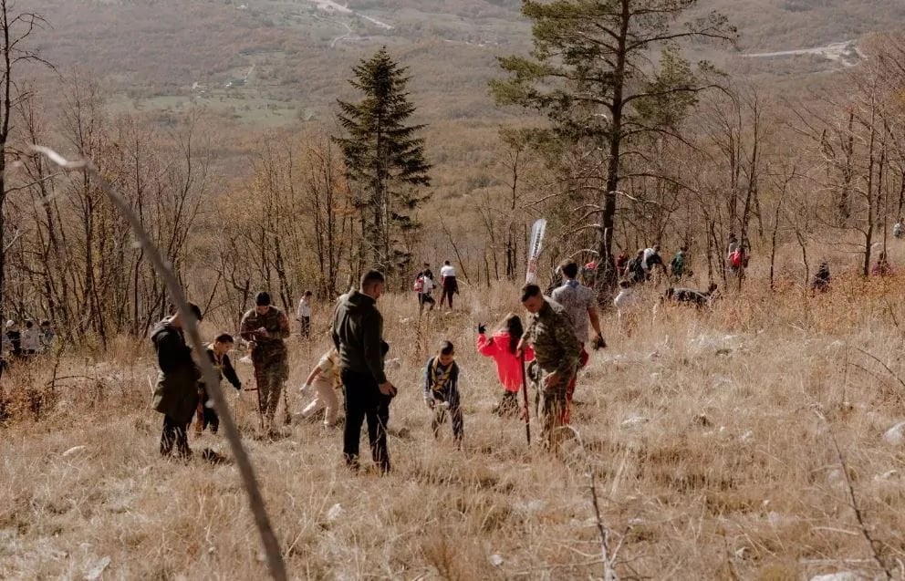 Na planini Vojnik 30.000 novih stabala