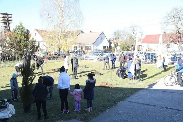 Dvorište OŠ ,,Mileva Lajović Lalatović“ u Rubežama oplemenjeno sa 20 sadnica