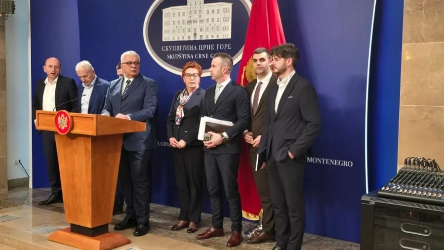 Mandić: Dogovora još nema, prihvatamo da se izjasni Venecijanska komisija