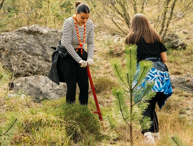Izviđači nastavili sa akcijom "Boranka", posađeno preko 1.000 sadnica crnog bora