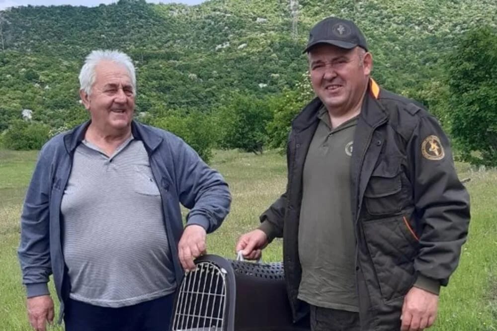 Nikšićki lovci pustili 12 divljih zečeva na tri lokacije